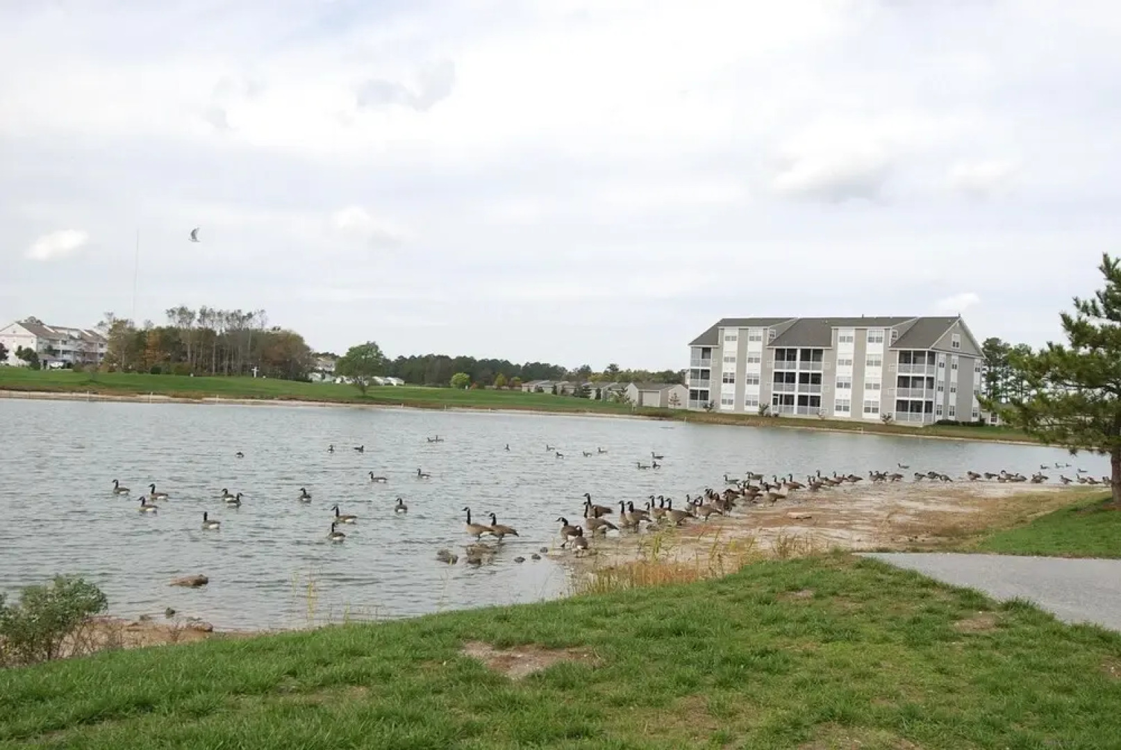 Bethany Bay 37182 Harbor Dr. #2604 by Long & Foster