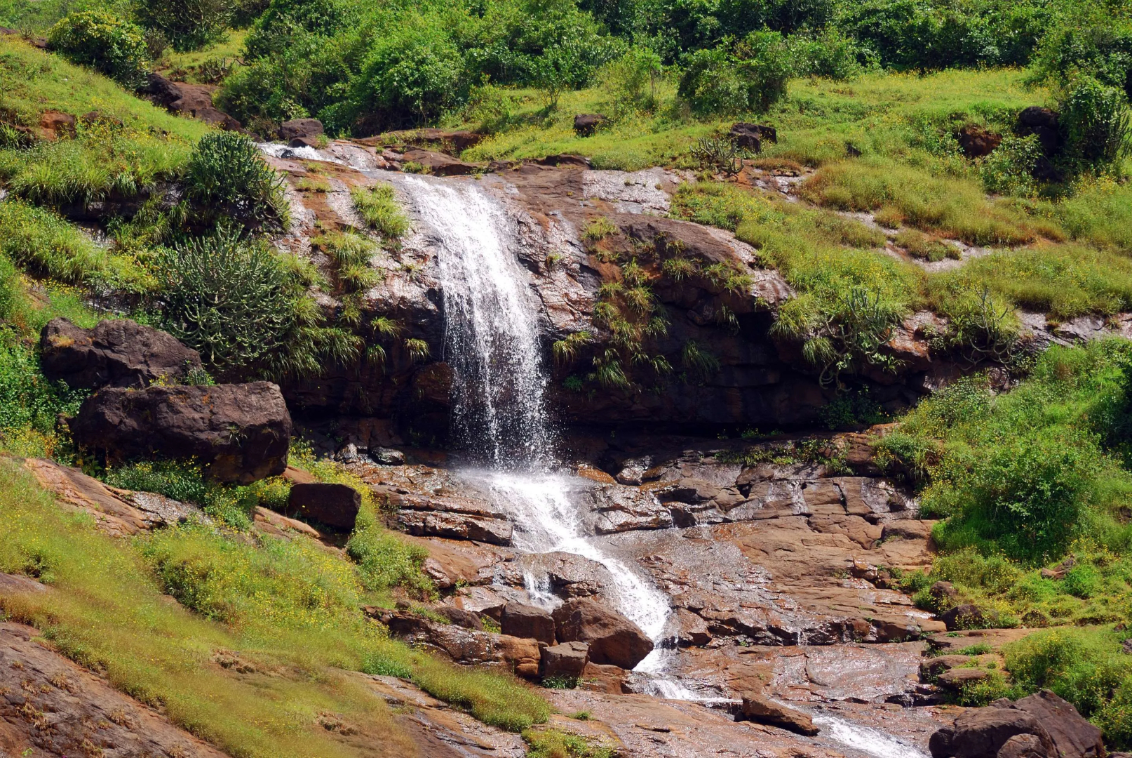 The Westin Pune Koregaon Park