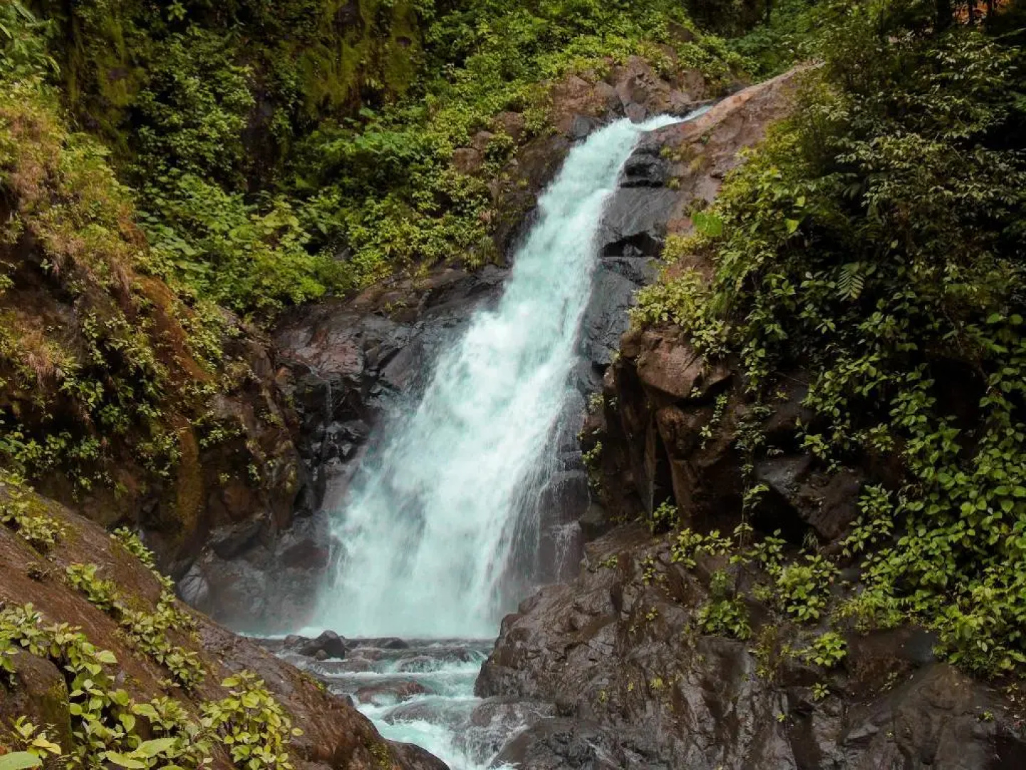 Cataratas Bijagua Lodge