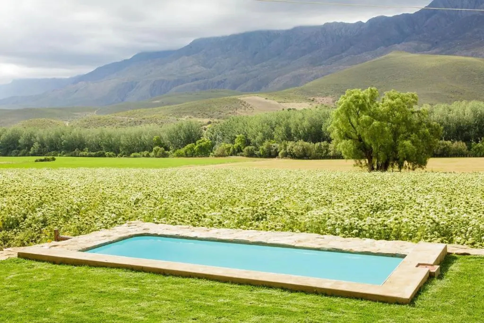Blue Lily Retreat