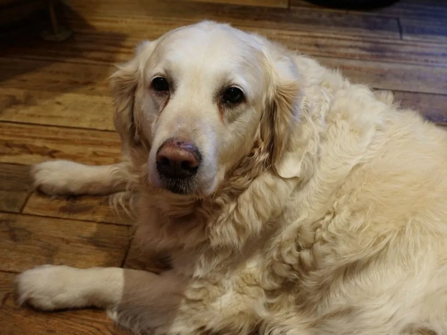 The Inn At Kingsbarns