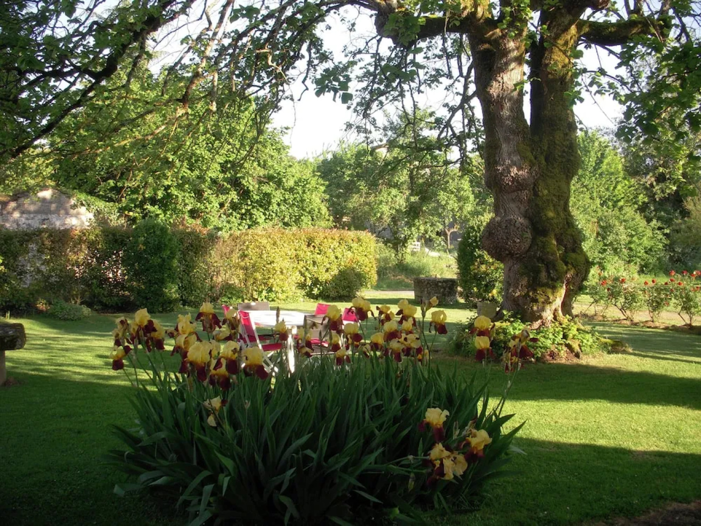 La Maison des Aurélines