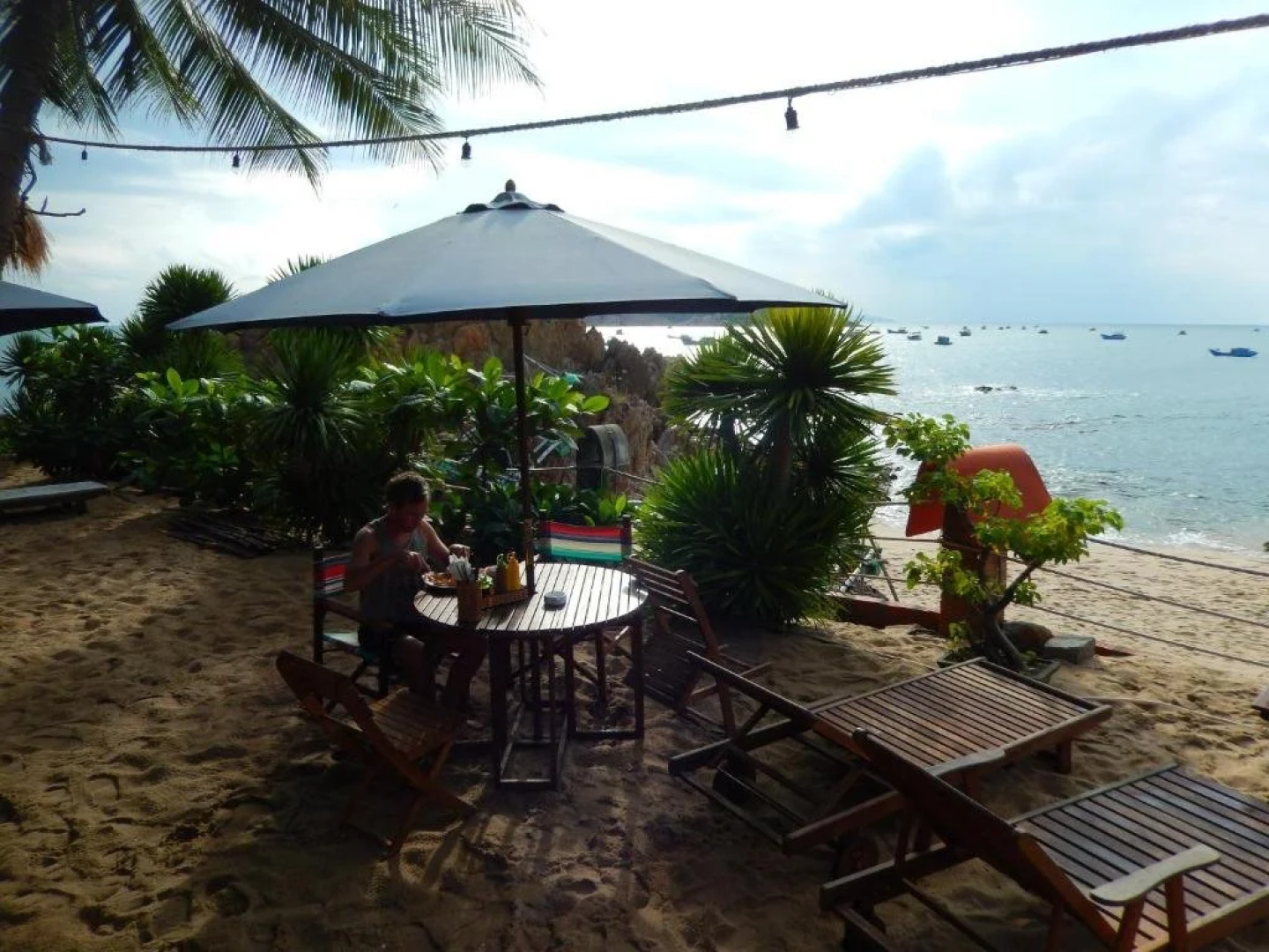 Big Tree Backpackers And Bistro