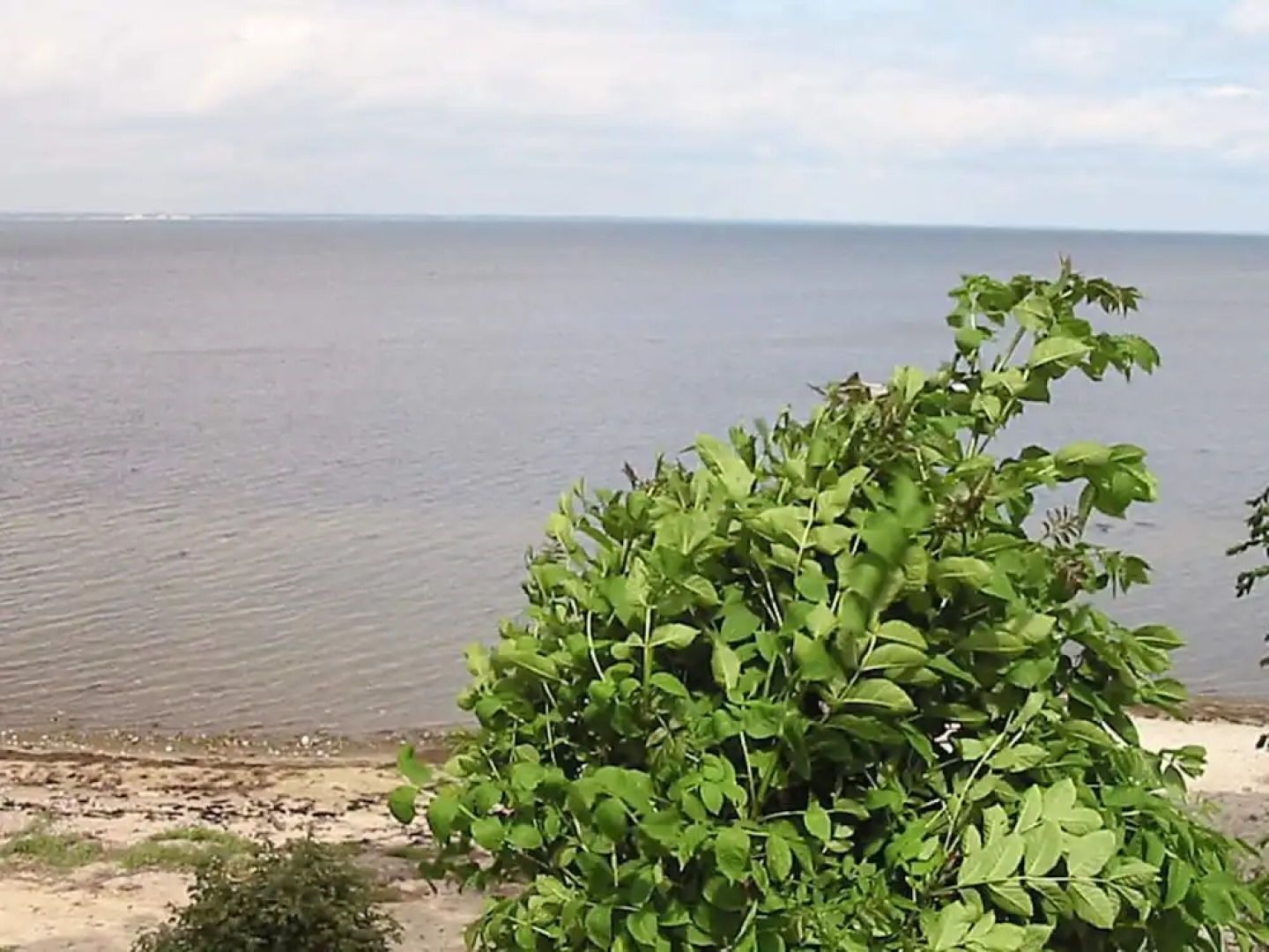 6 Person Holiday Home in Praesto