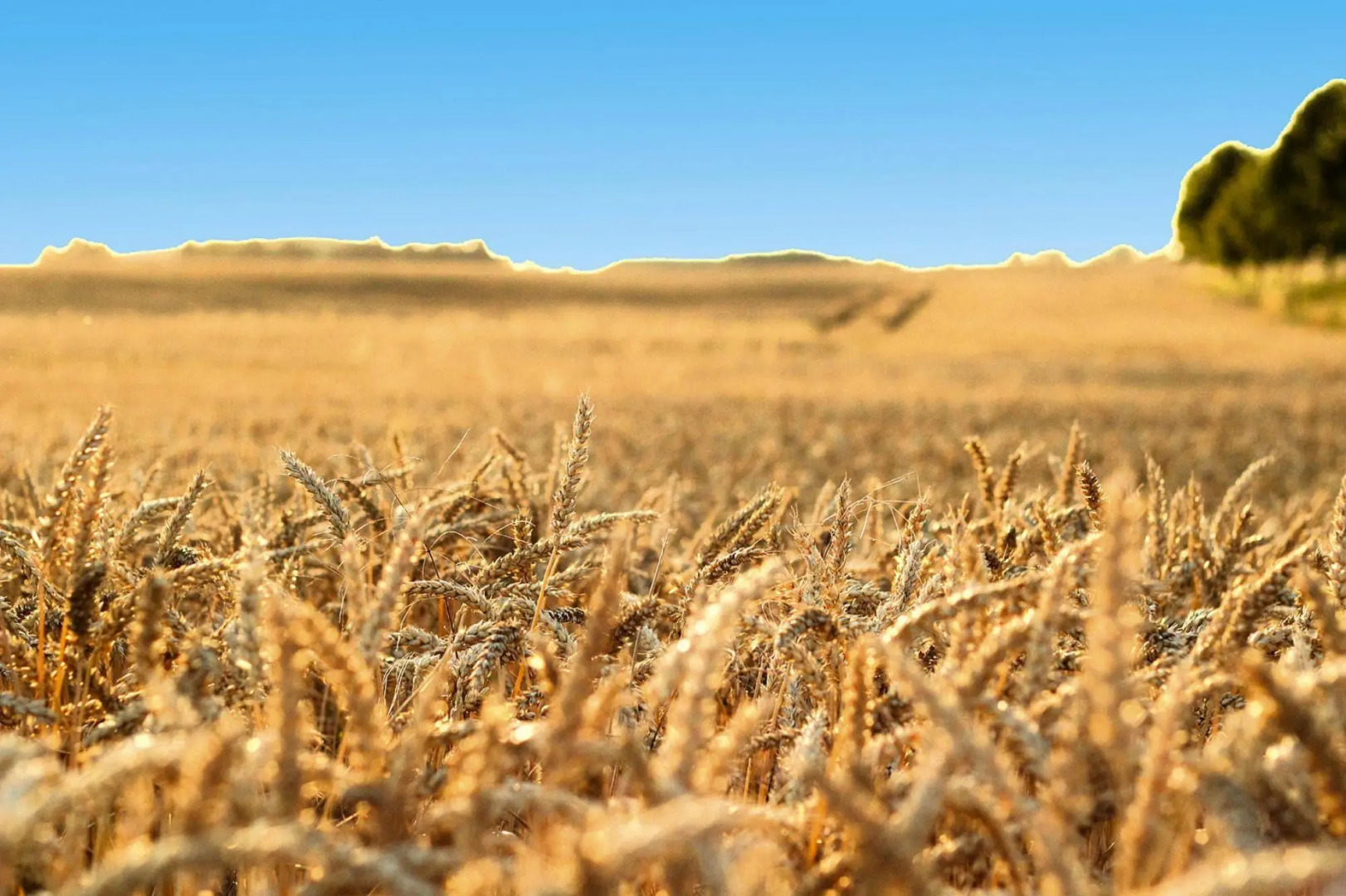 Semi-detached houses Hyggelig, Seehausen