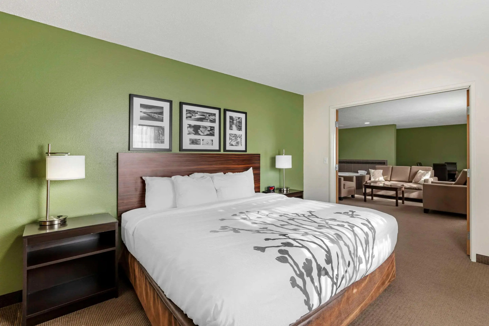 Sleep Inn & Suites Charles City