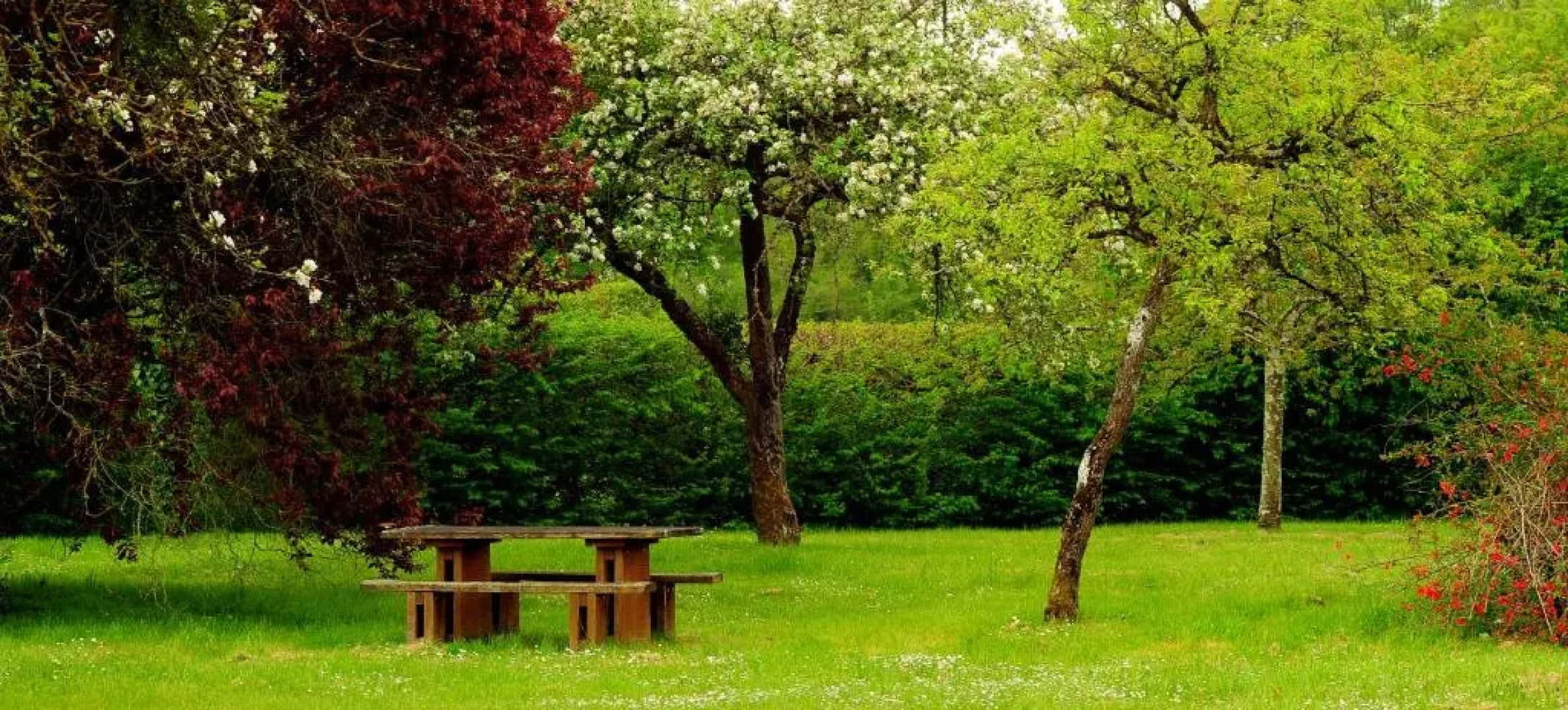 Gîte Cerf - 8 Personnes