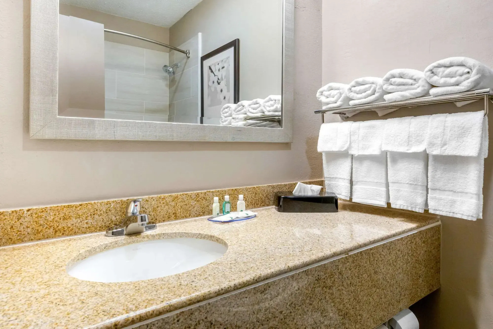 Quality Inn and Suites Apex Holly Springs