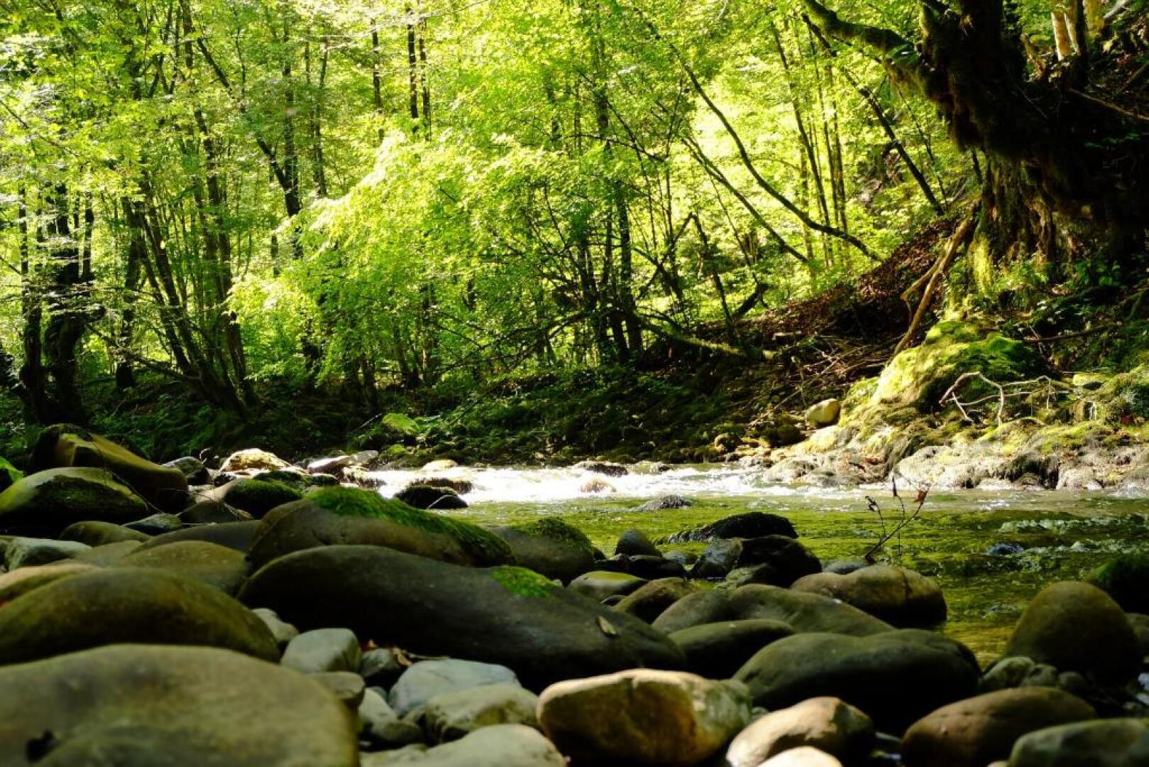 Vintage House Podliparska