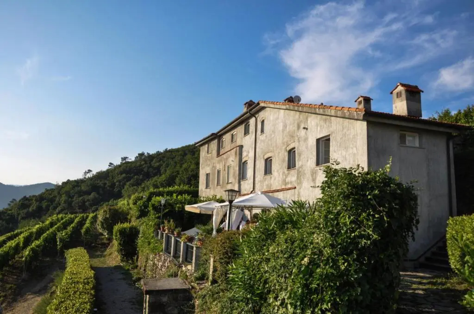 Casale In Vigna, CinqueTerreCoast