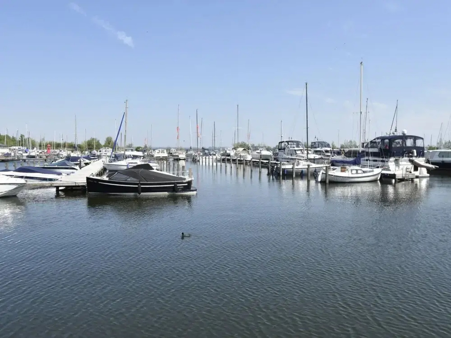 Family Home in Zeewolde by Forest Trails