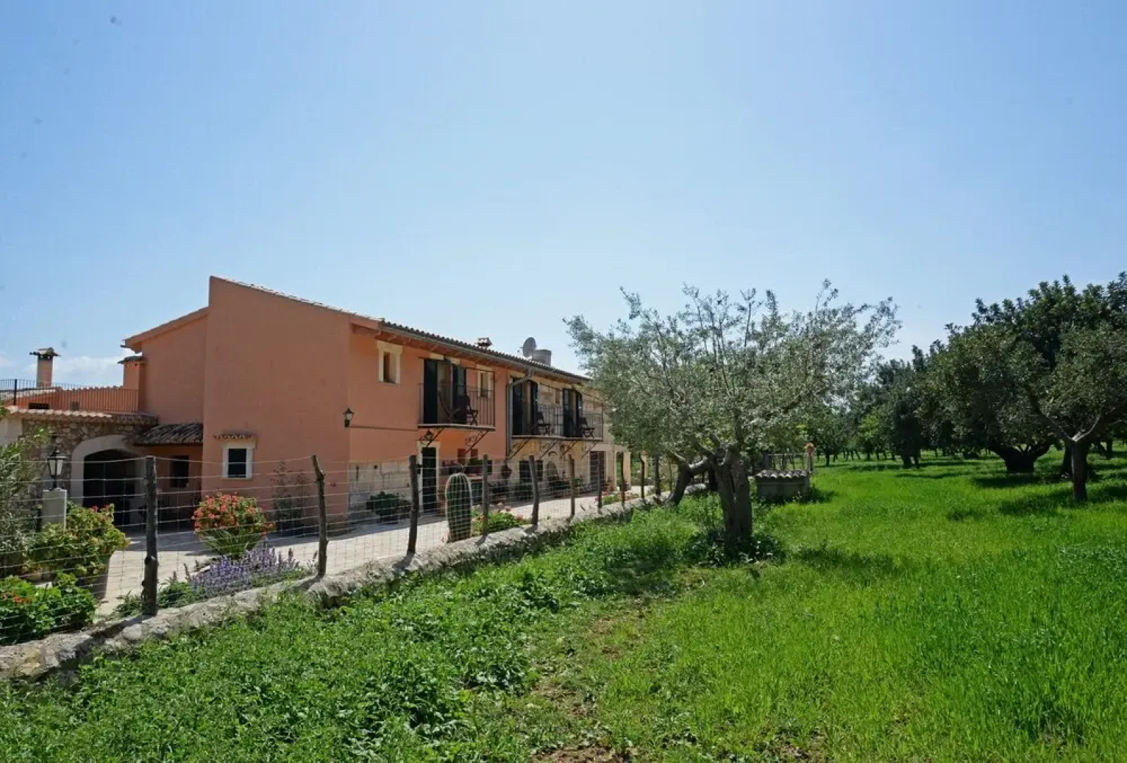 SA Parellada - Premium