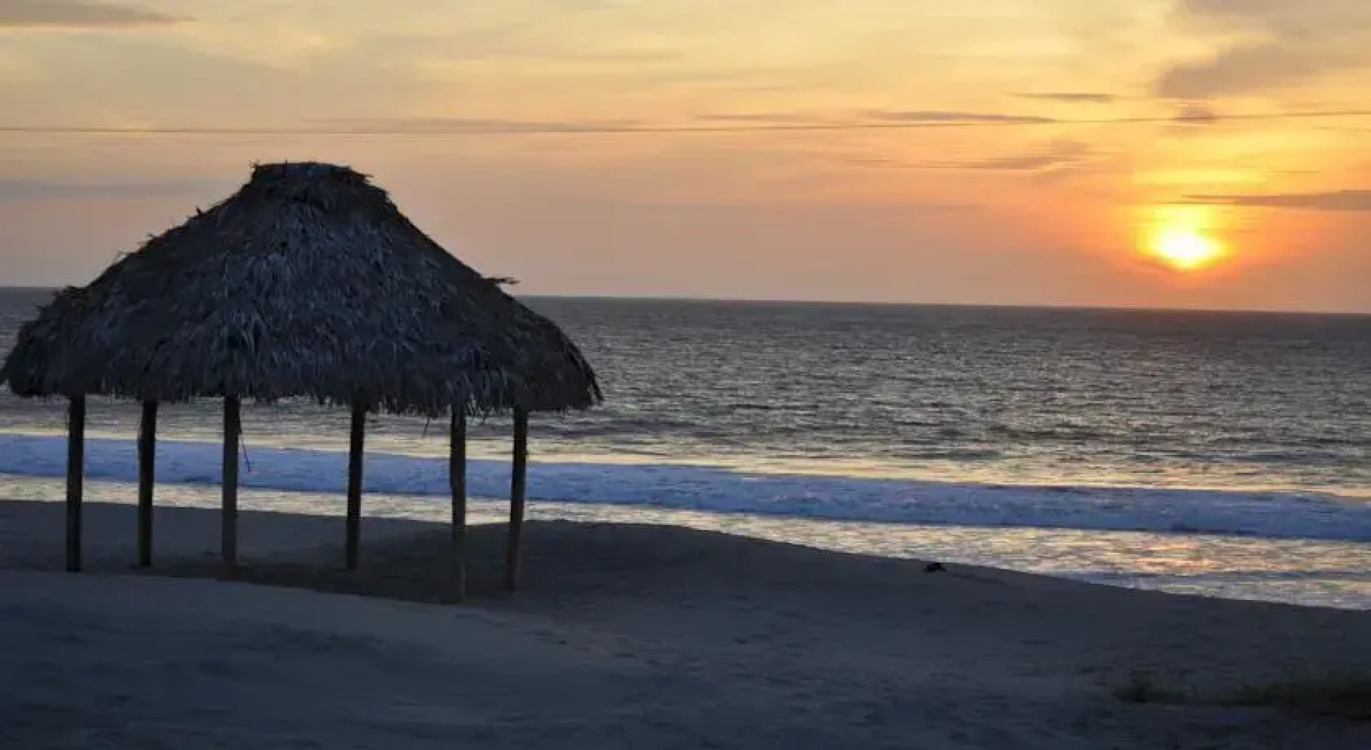 Donkey Den Guesthouse