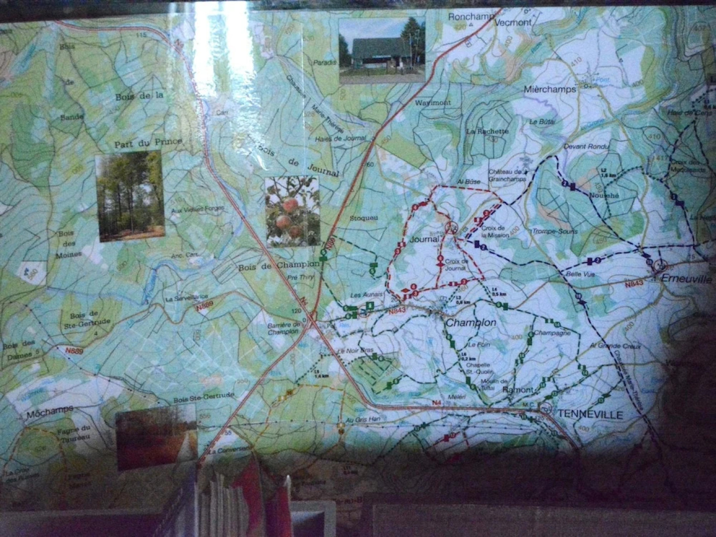 Champlon Villa Near Forest