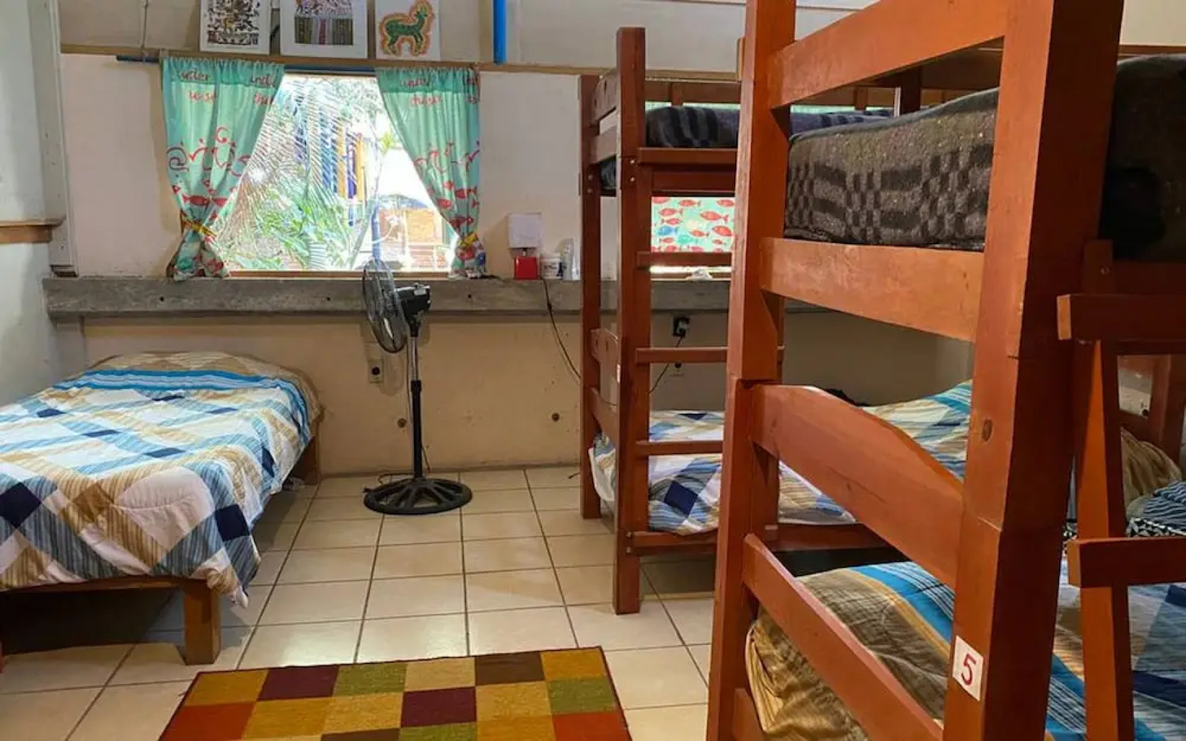 The Octopus's Garden