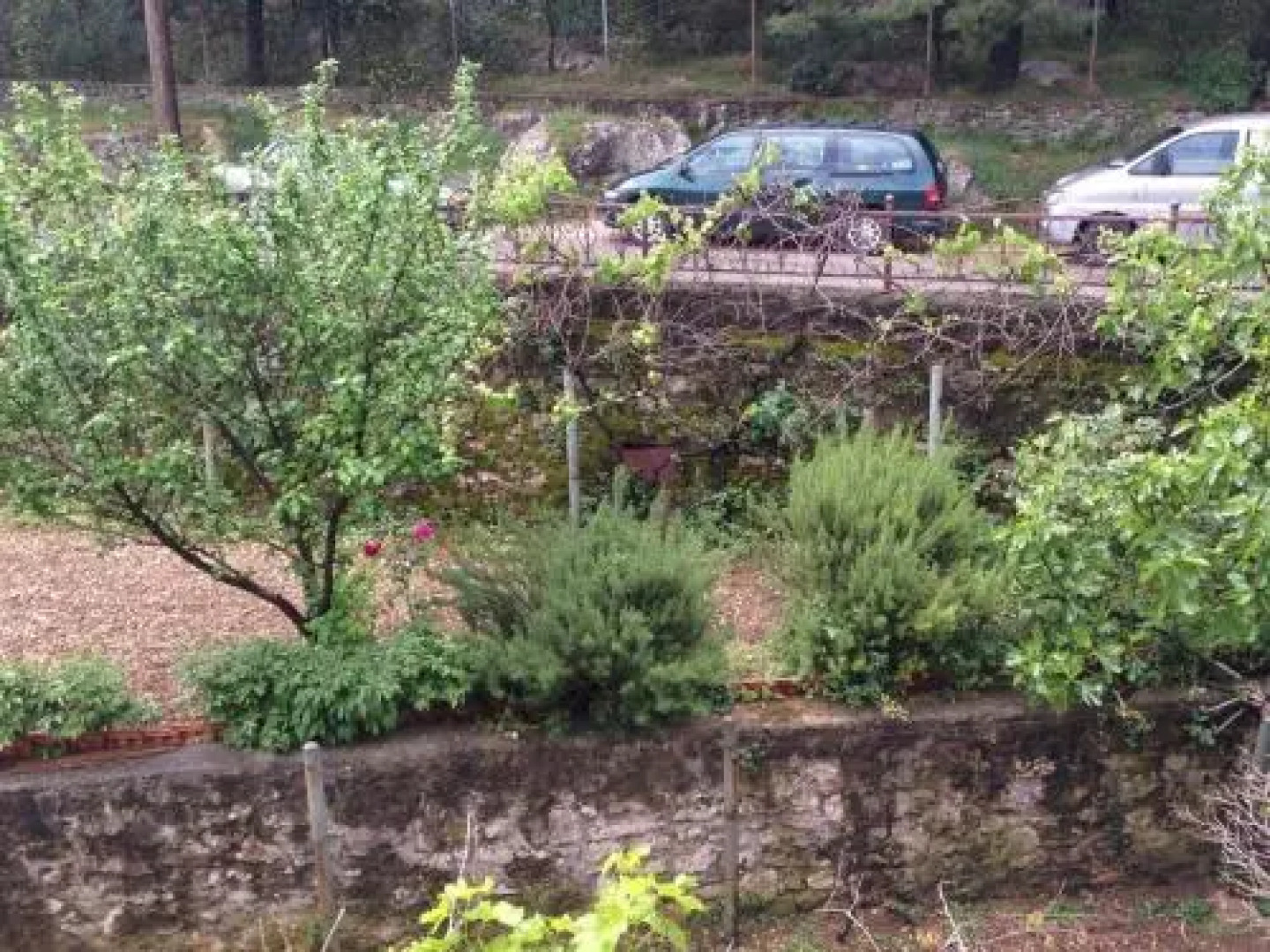 Guest house Kristina Rooms