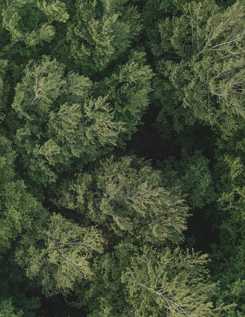 The Woodland Lodge Gisselfeld