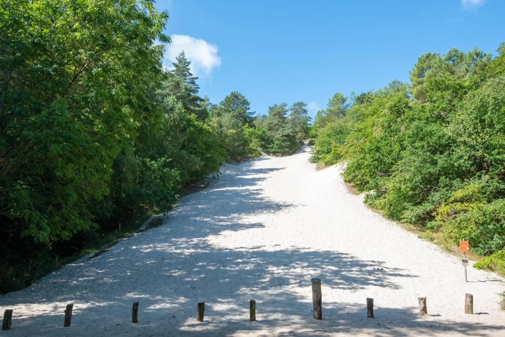 The Forester Schoorl