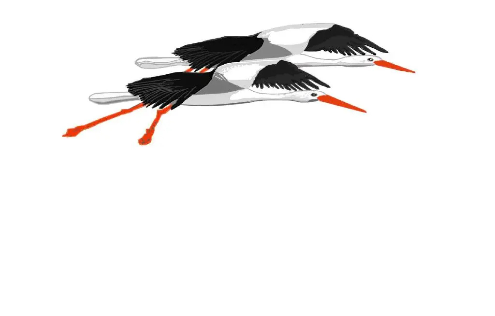 El Paso De Las Ciguenas