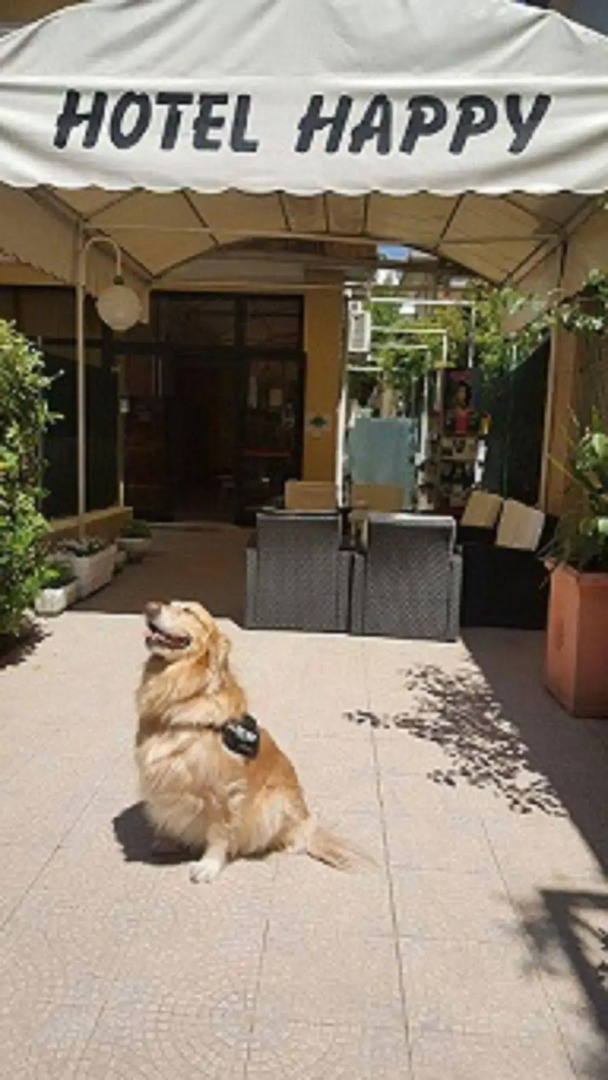 Hotel Happy