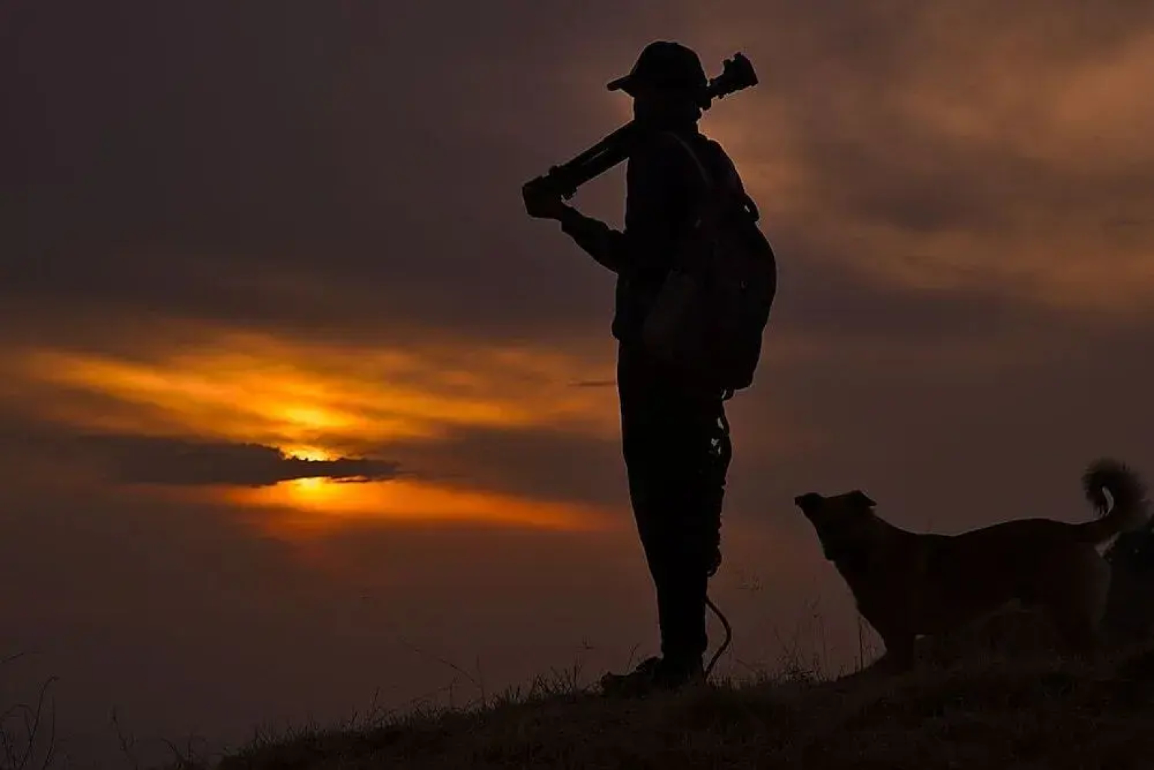 1 BR Boutique stay in shoghi, Shimla, by GuestHouser (DF14)