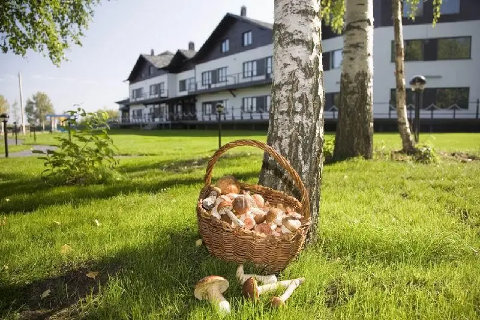 Grand Adventure Absolute Result (Гранд Эдвенче Абсолют Резалт)