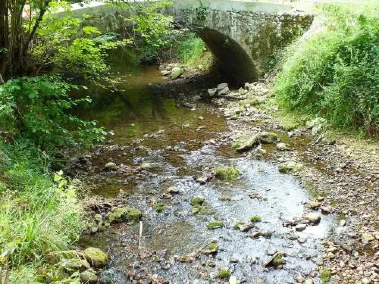 Gite-Holiday Home Au Moulin 1771