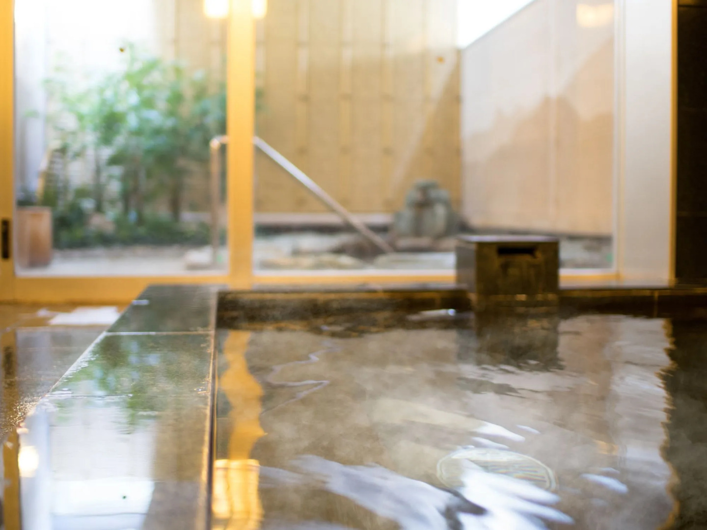 SUPER HOTEL Premier JR Nara Station