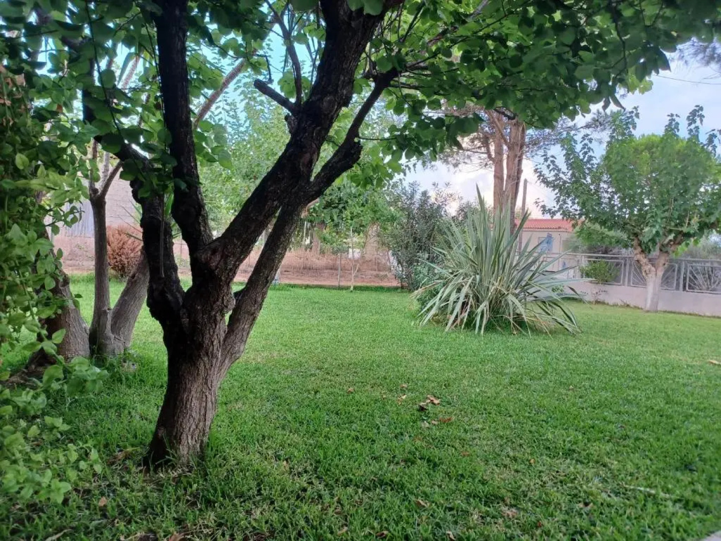 Beach House for up to 9 people near Olympia