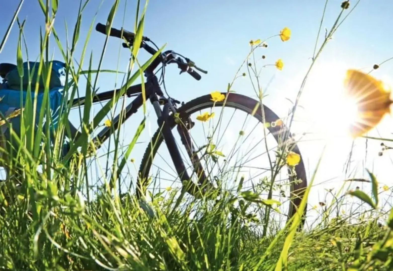 La Demeure de Cybele