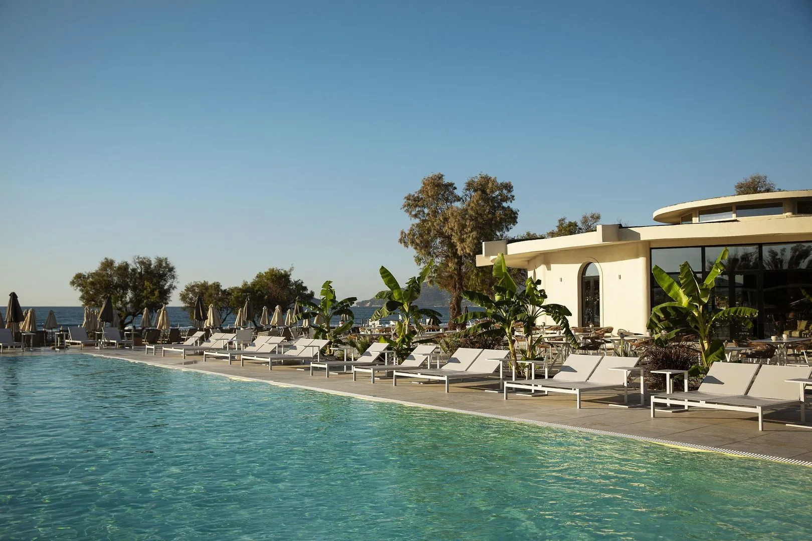 Domes Aulus Zante, Autograph Collection