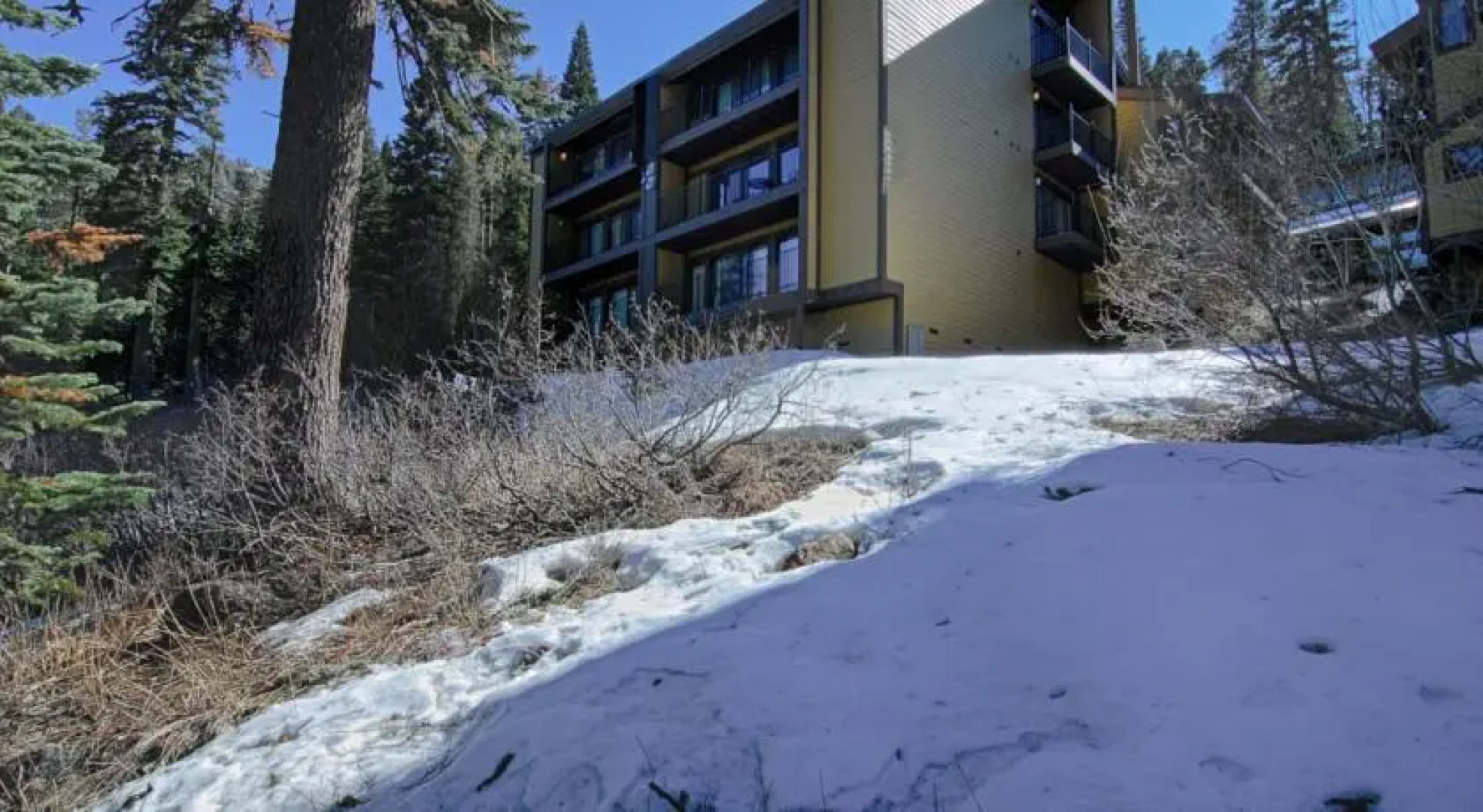 Alpine Meadows Condo