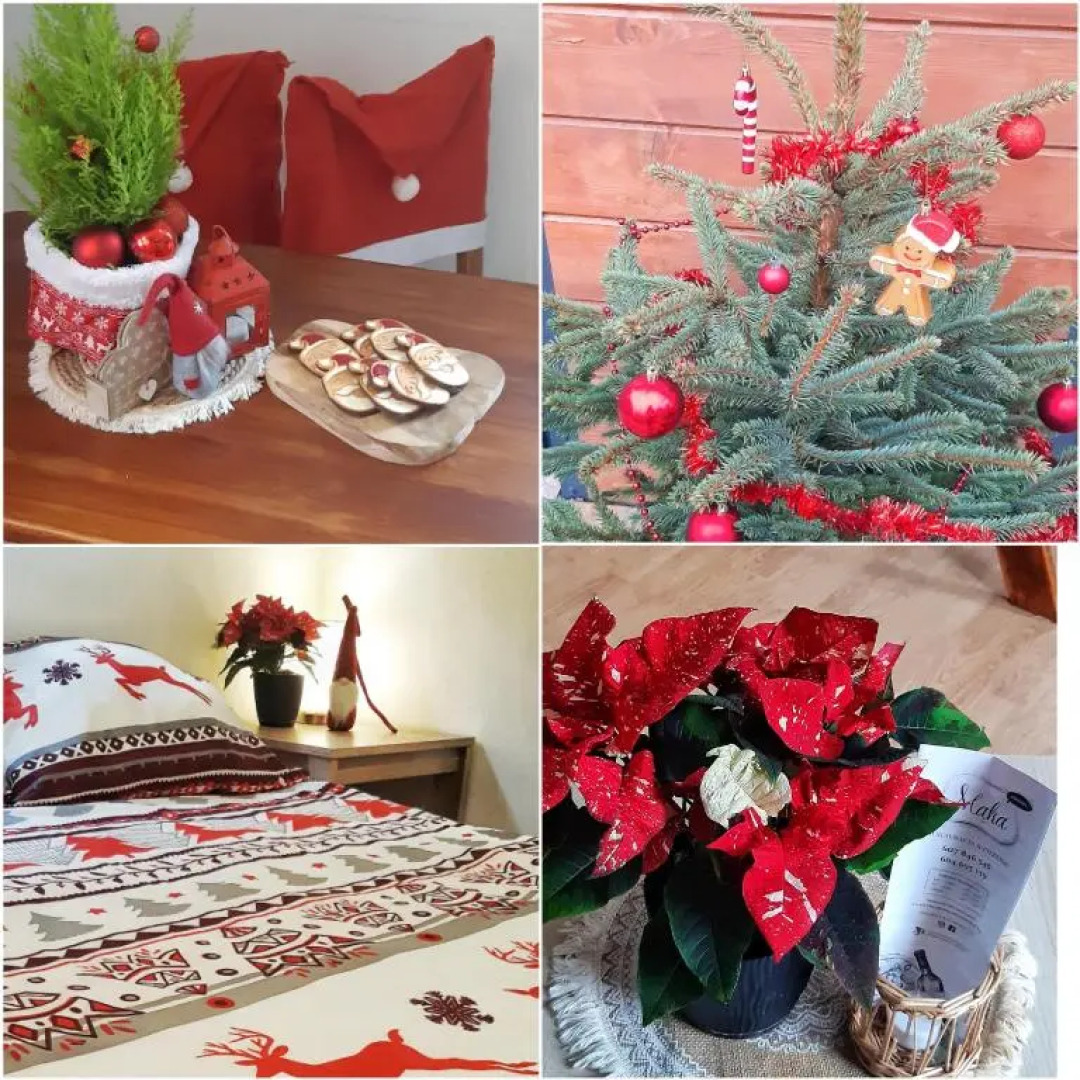 Eleonor Accommodation