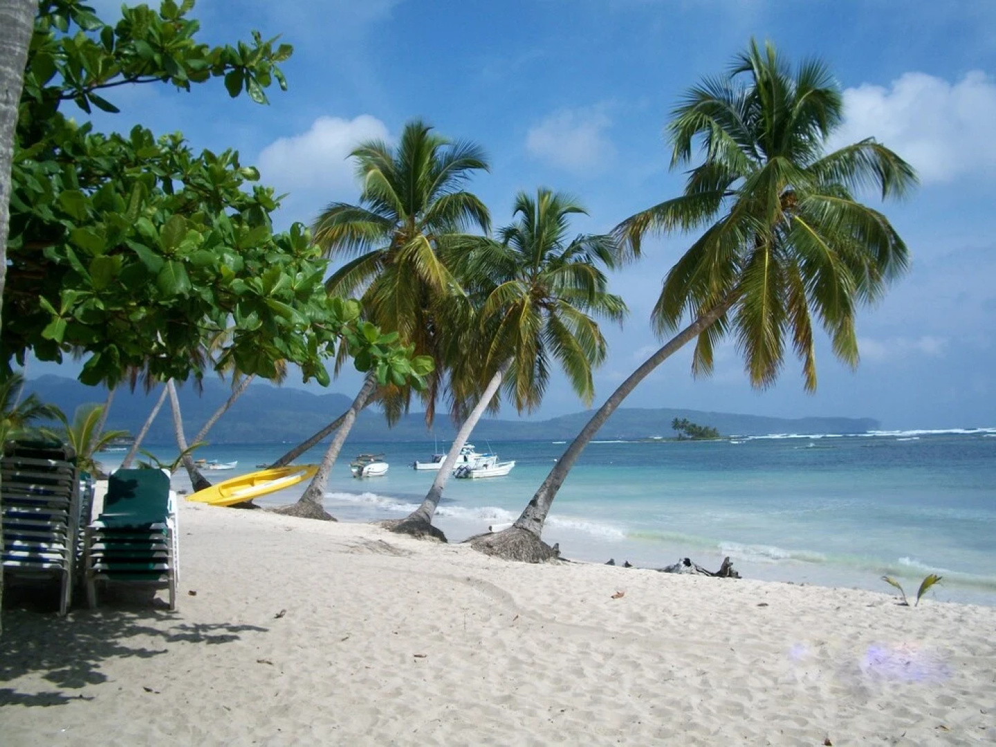 Hostel La Ballena Backpacker