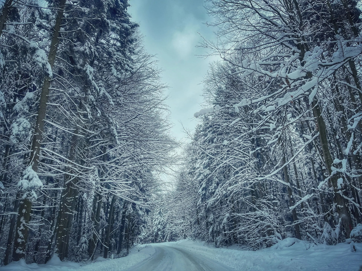 Ohana Boutique Hotel