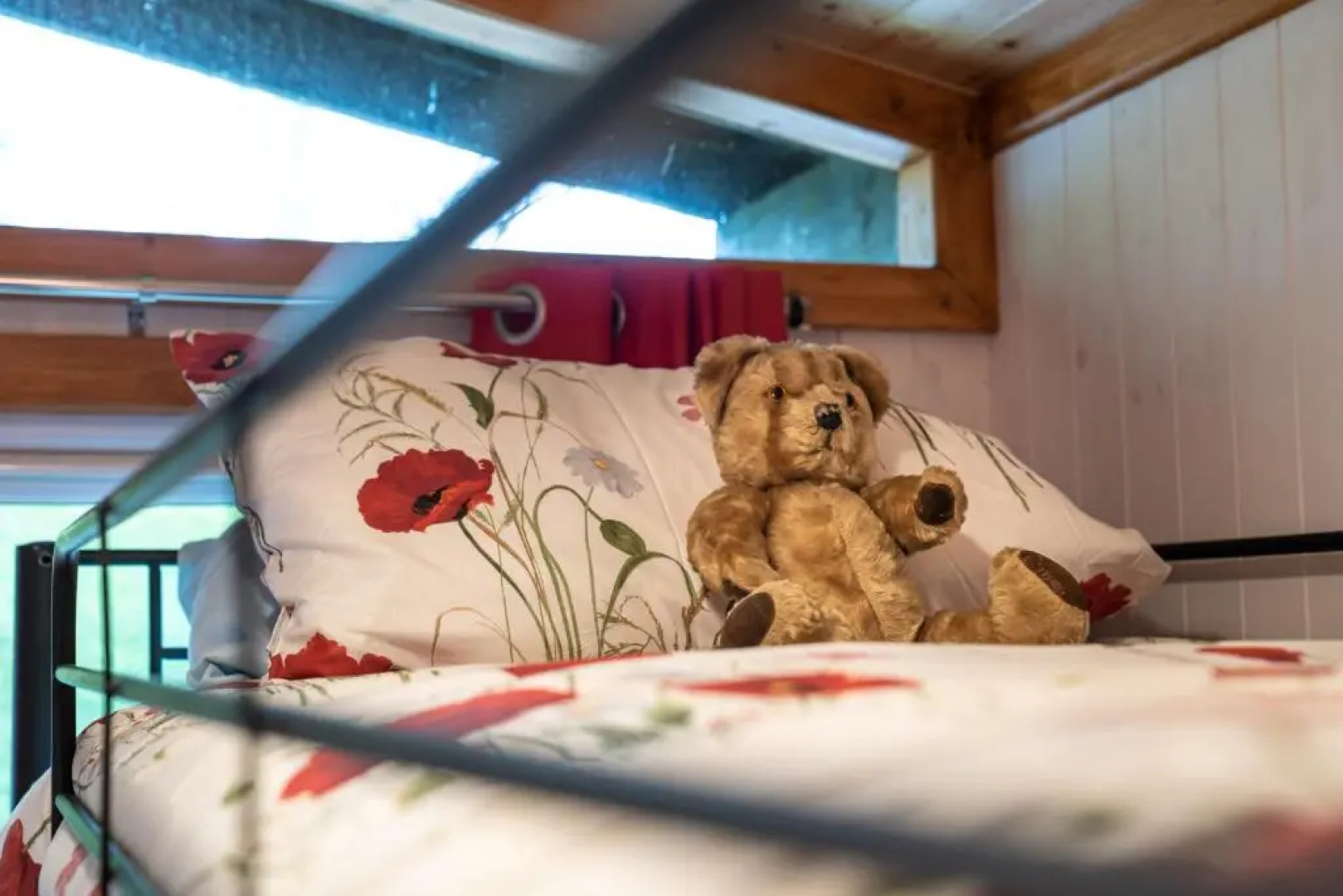 Bluebell Lodge set in a Beautiful 24 acre Woodland Holiday Park