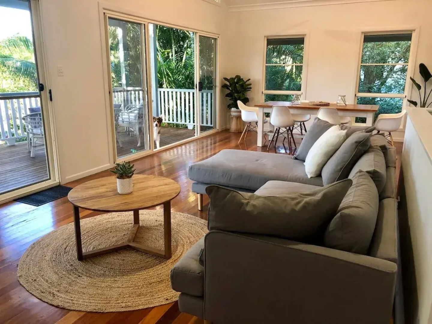 Your Coastal Treetop Escape