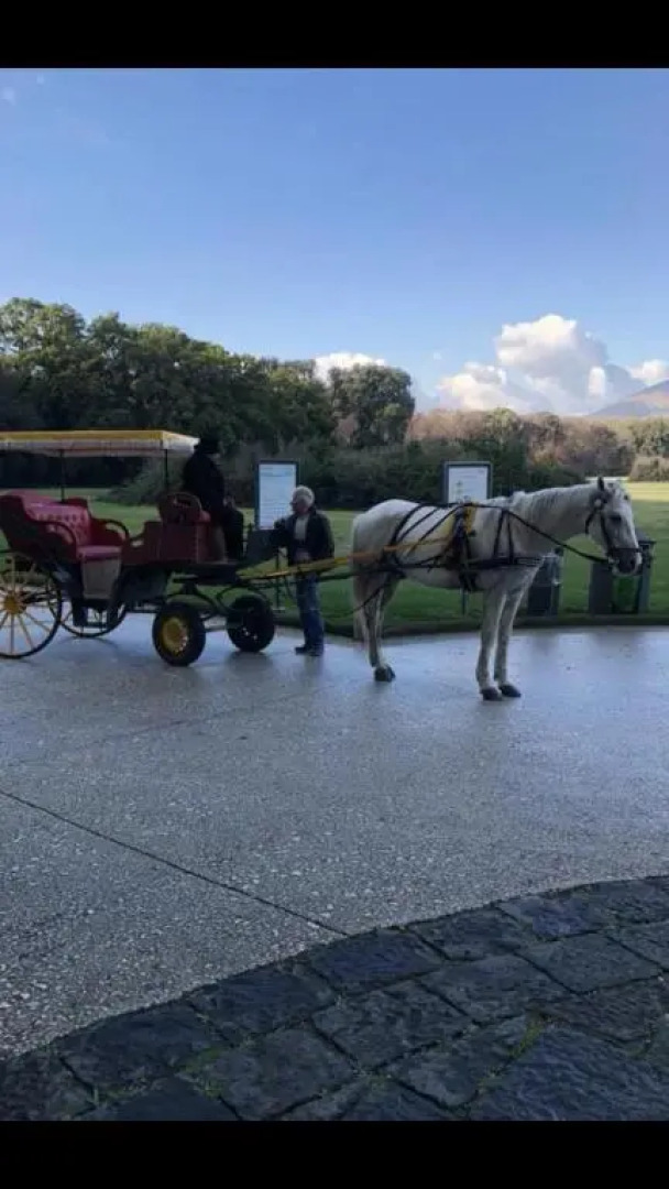 Rosy Monolocale nel Centro Storico di Torre Annunziata di Fronte Scavi Oplonti