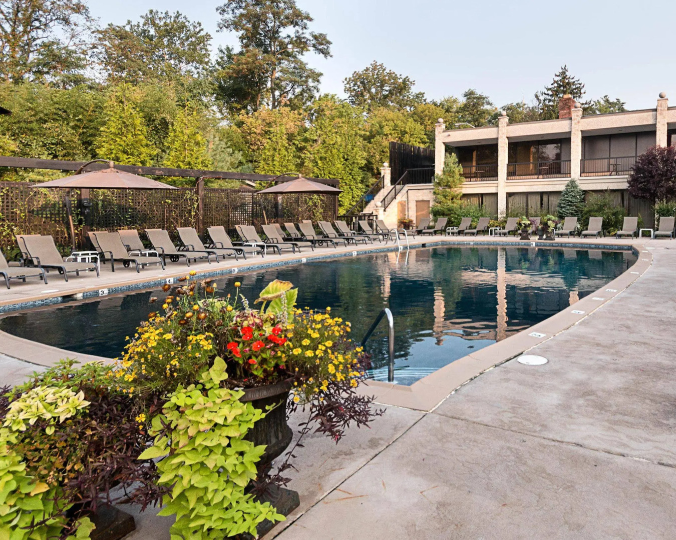 New Hope Inn & Suites