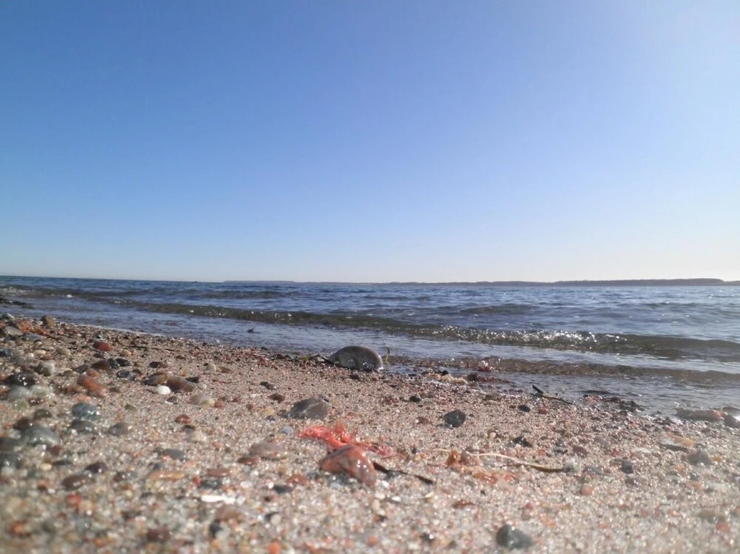 Komfortable-Ferienwohnung-in-Waabs-Ostsee-Damp-Eckernfoerde