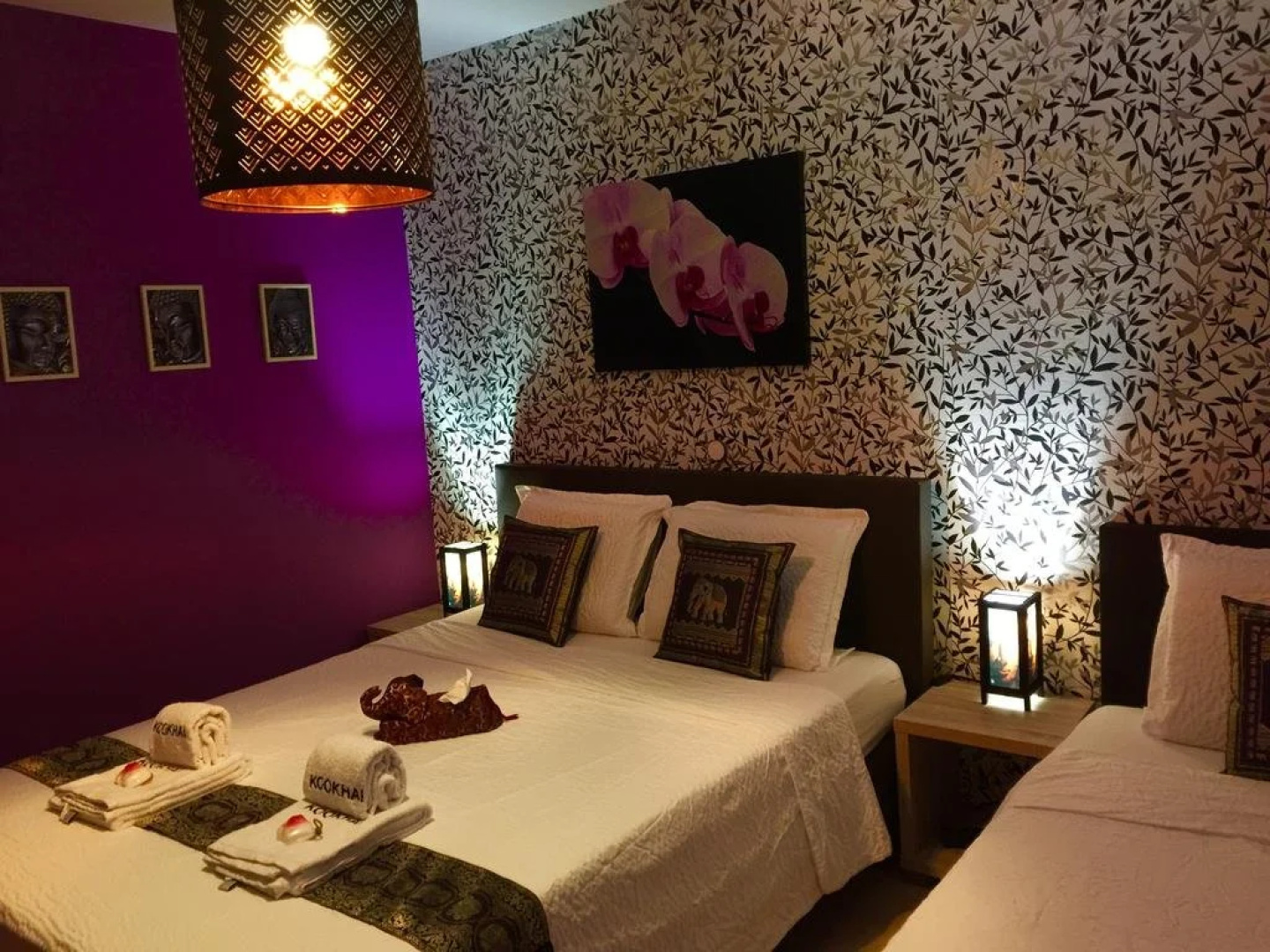 B&B Kookhai