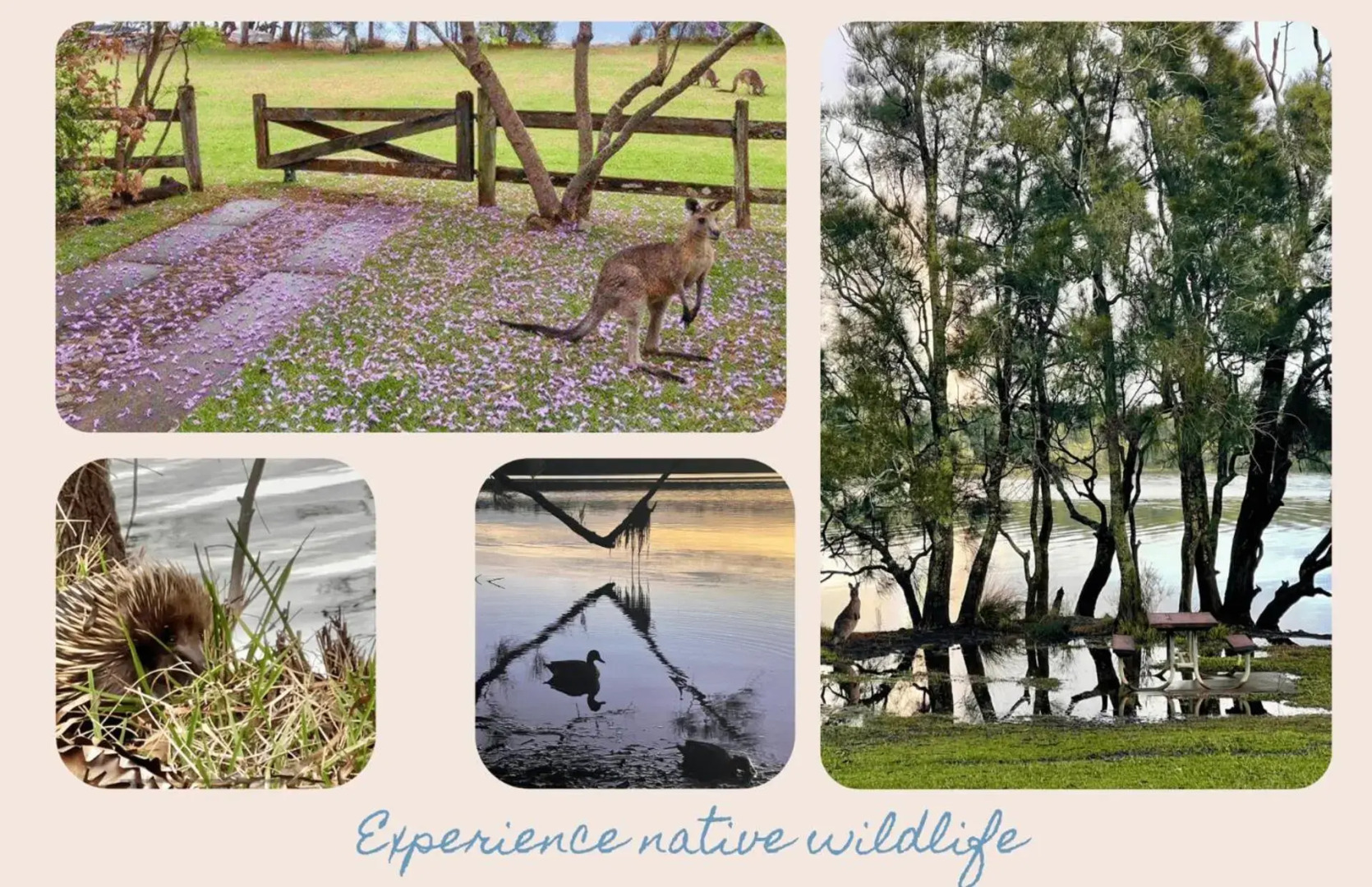 The Lake House at Erowal Bay 4pm Check Out Sundays