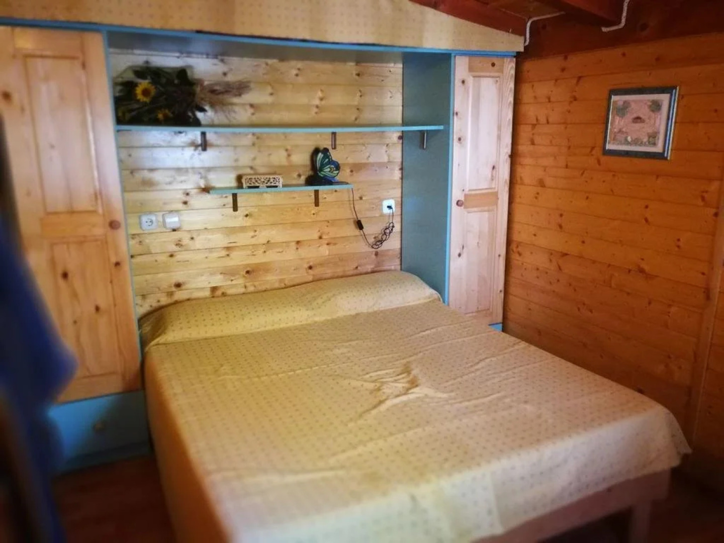 International Camping