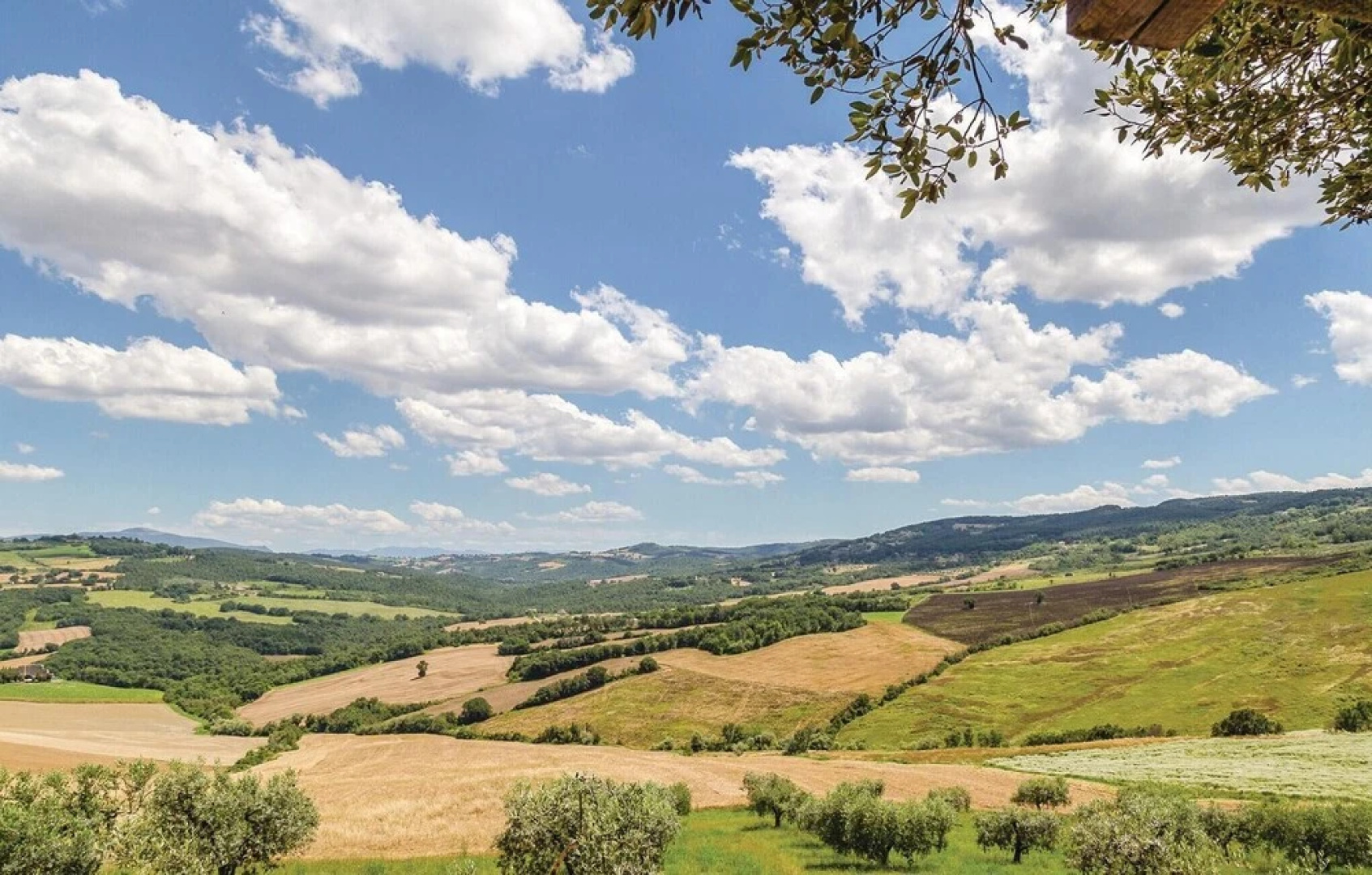 Valguerriera - Grano