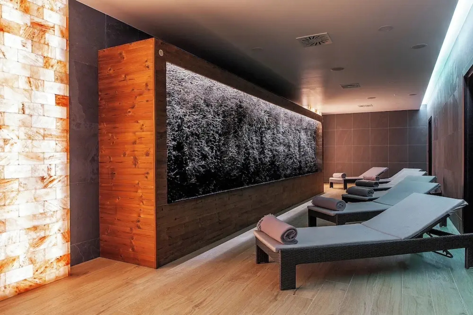 Primavera Jastrzębia Góra