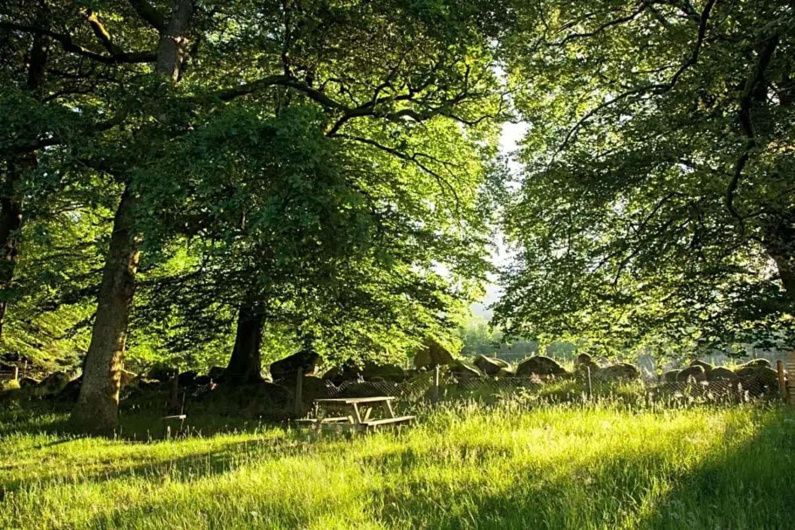 The Wicklow Escape