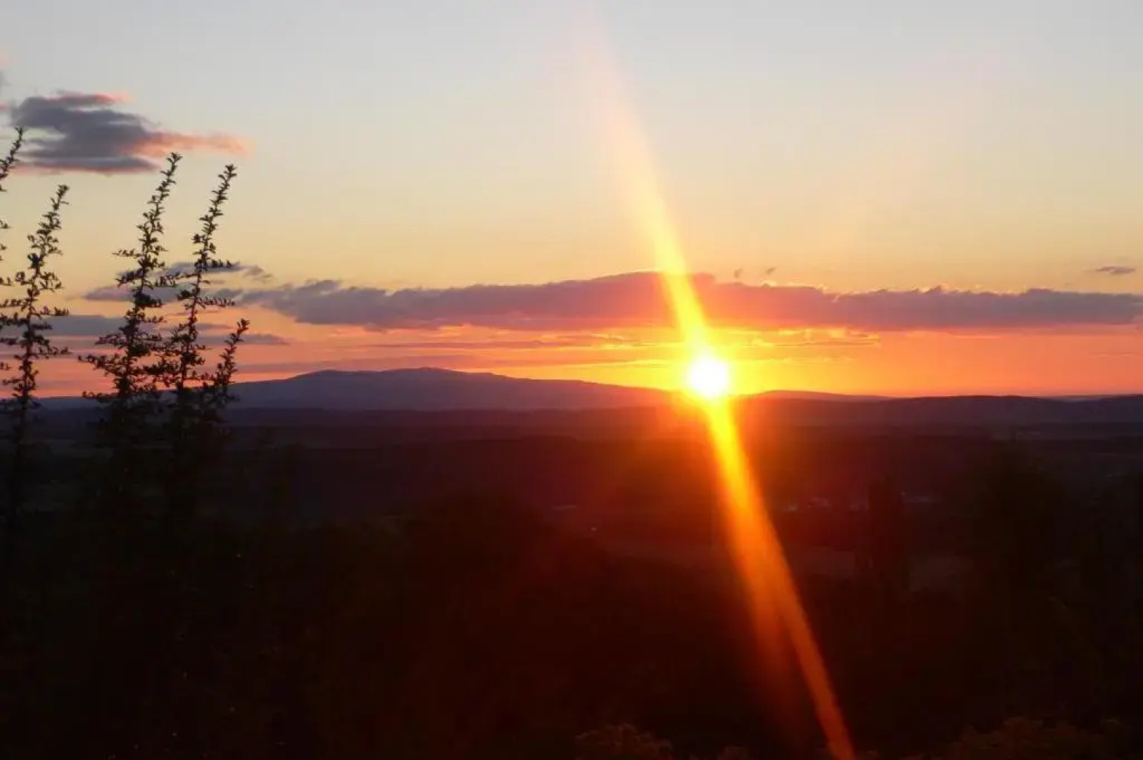 Wohlfuhl Hotel Wiesenhof