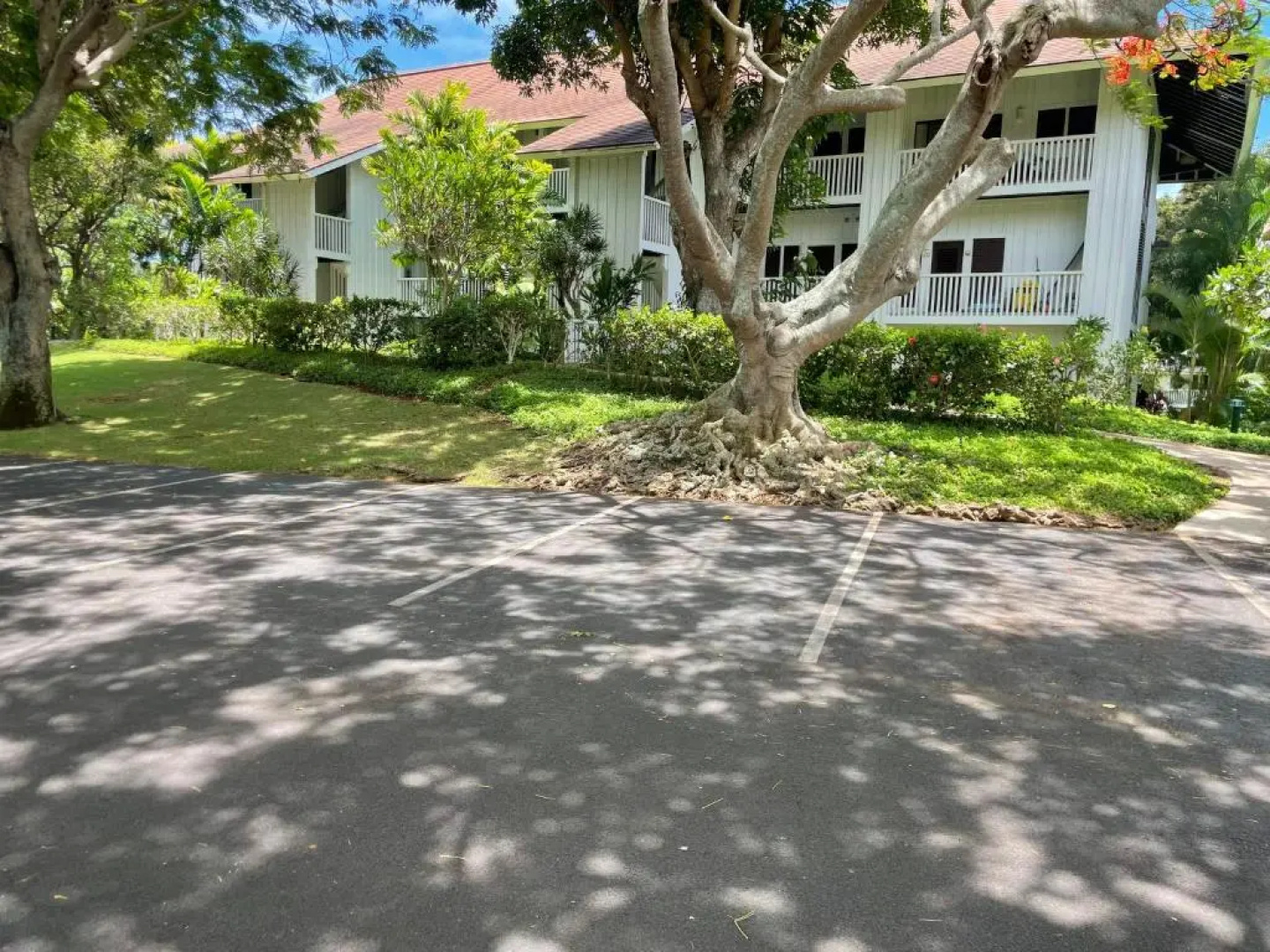 Quiet Kiahuna plantation , New Remodel with AC