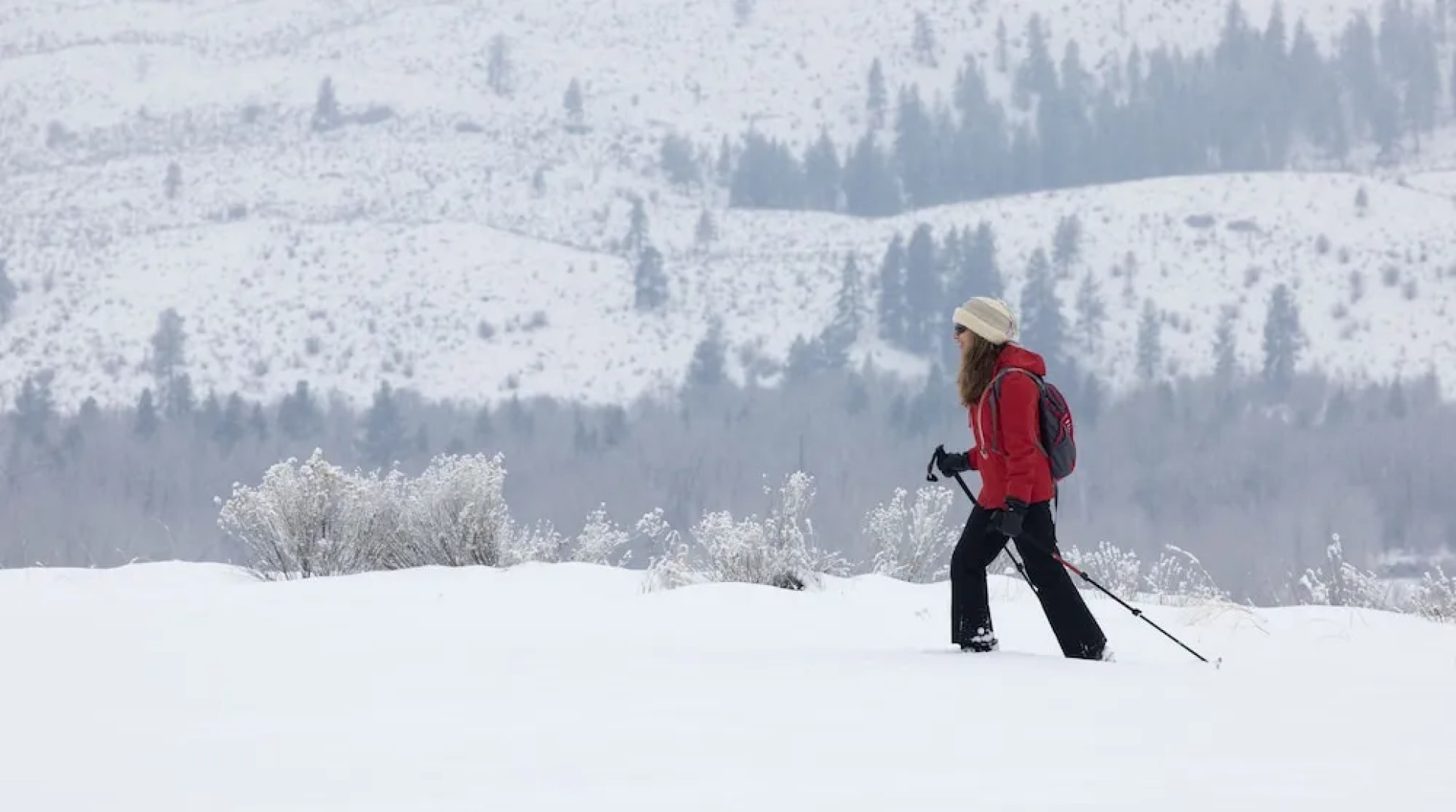 Casia Lodge and Ranch