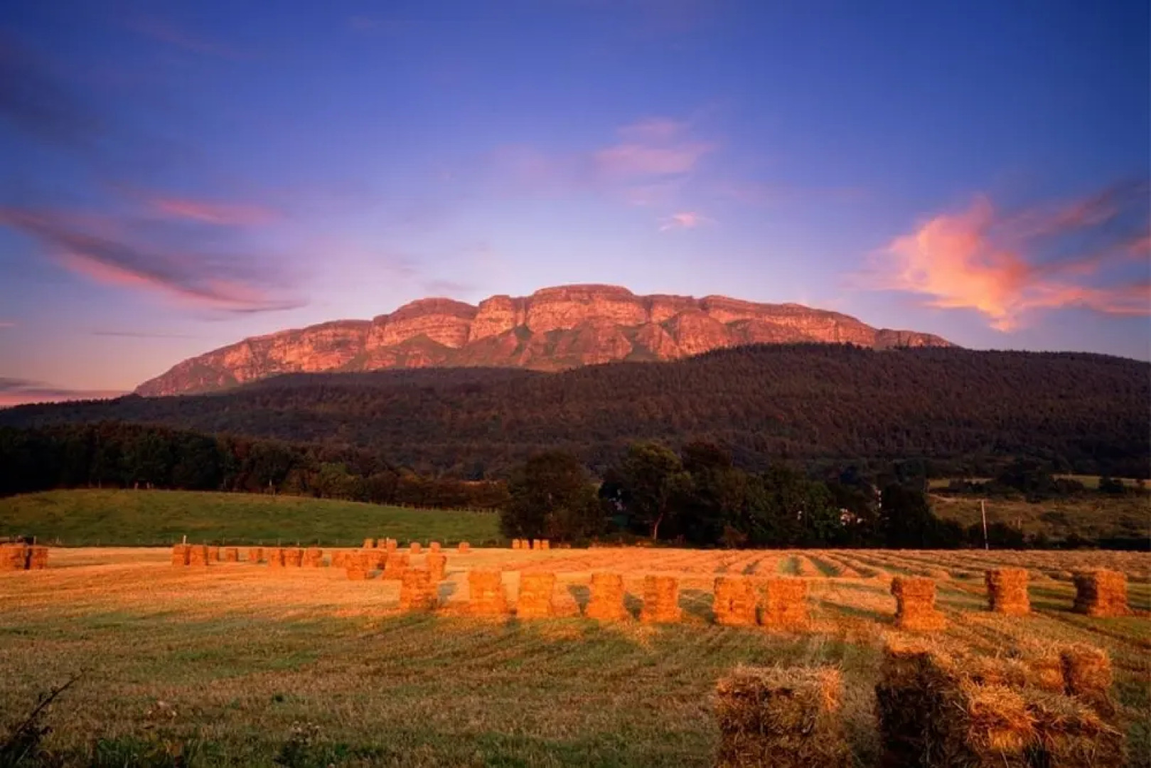 The Garden Room - Causeway Coast